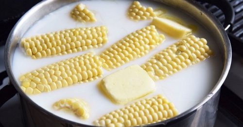 Kráľovná polí! Vďaka tomuto tipu budete variť tú najlepšiu kukuricu na svete….
