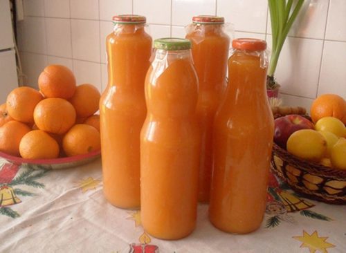 Domáci Kubík: Fantastická vitamínová bomba bez pridaného cukru, ktorú si môžete pripraviť doma …